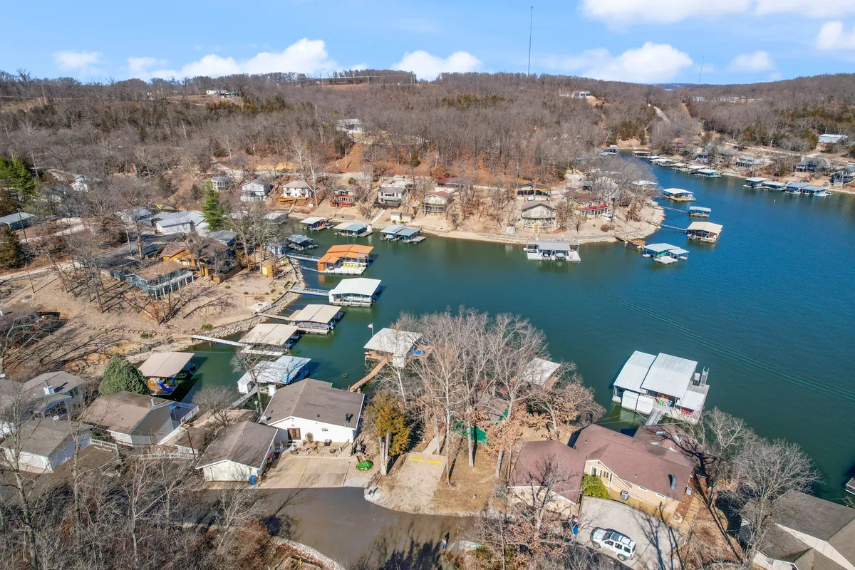 This wide view captures the lake, surrounding houses, boats, and trees, conveying a sense of community and access to water-based activities like boating and fishing. The relaxed mood and visible shoreline make it easy to imagine a pet and owner enjoying an afternoon by the water.